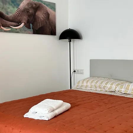 Apartment Loft B Alicante